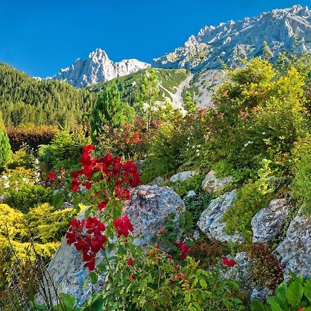 Pension Stoffenbauer Ramsau am Dachstein Bagian luar foto