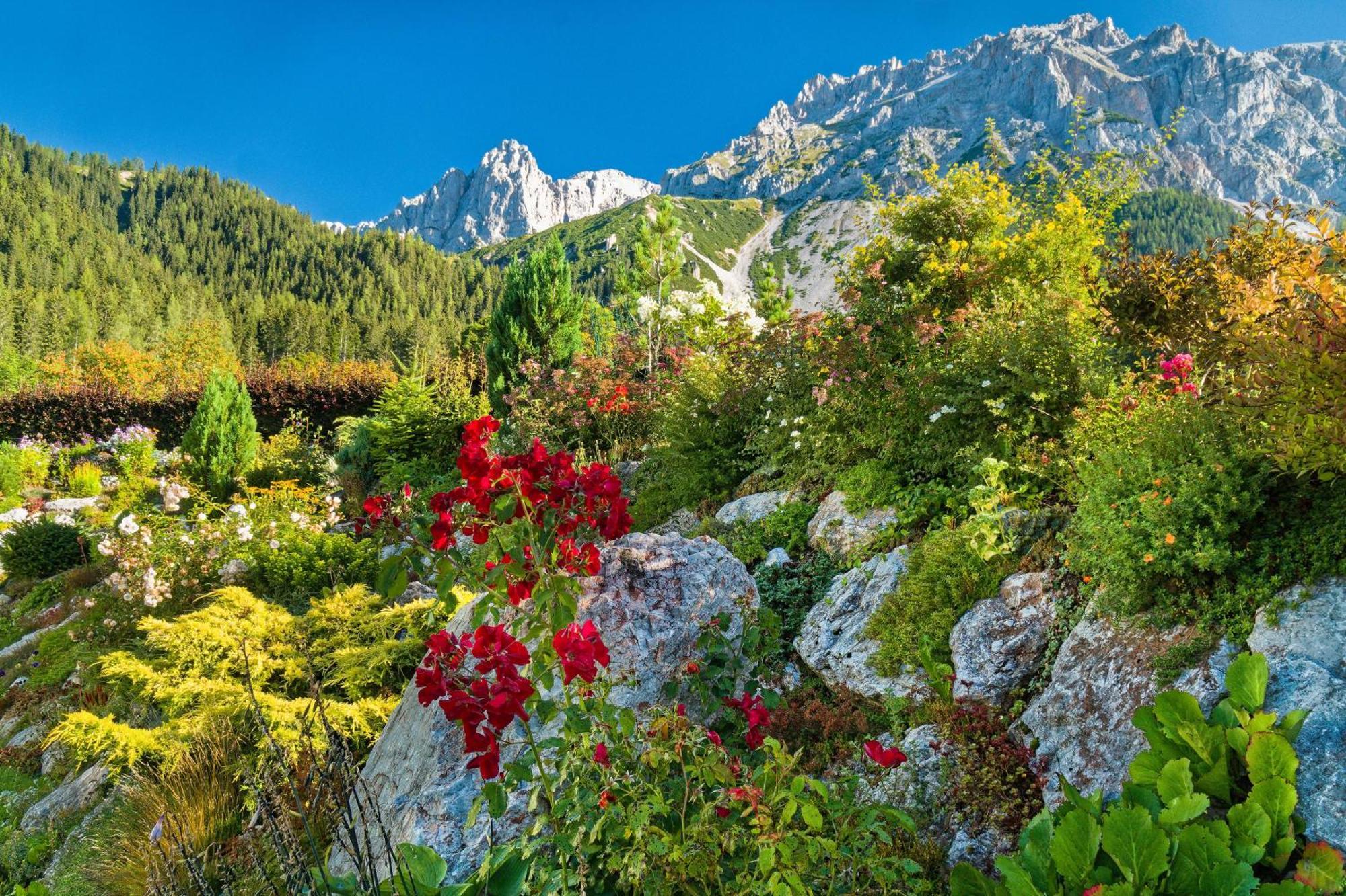 Pension Stoffenbauer Ramsau am Dachstein Bagian luar foto