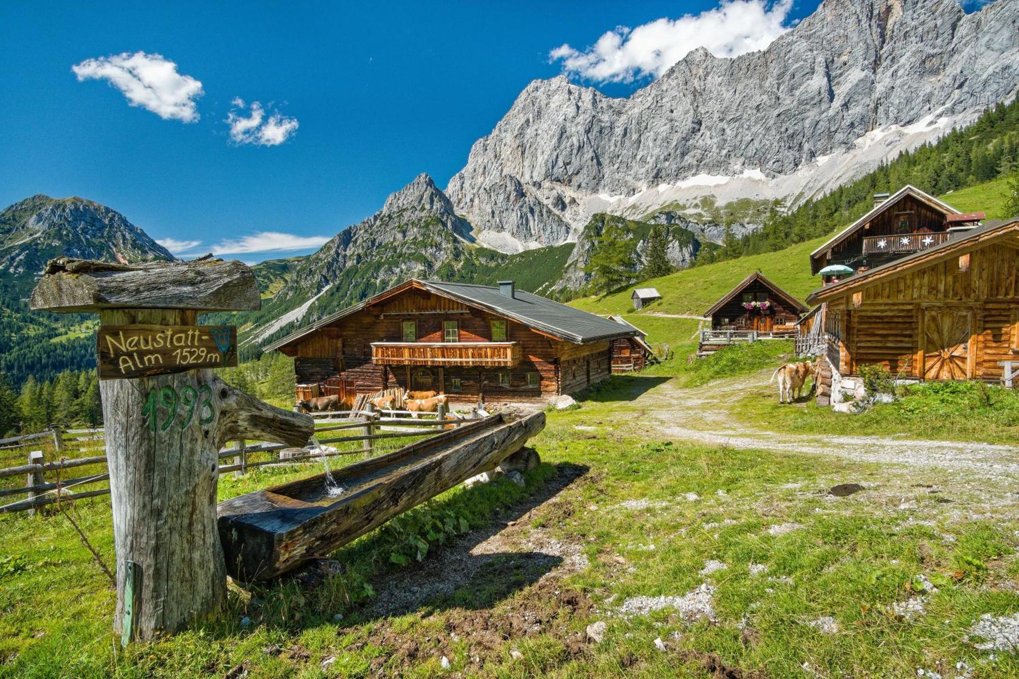 Pension Stoffenbauer Ramsau am Dachstein Bagian luar foto