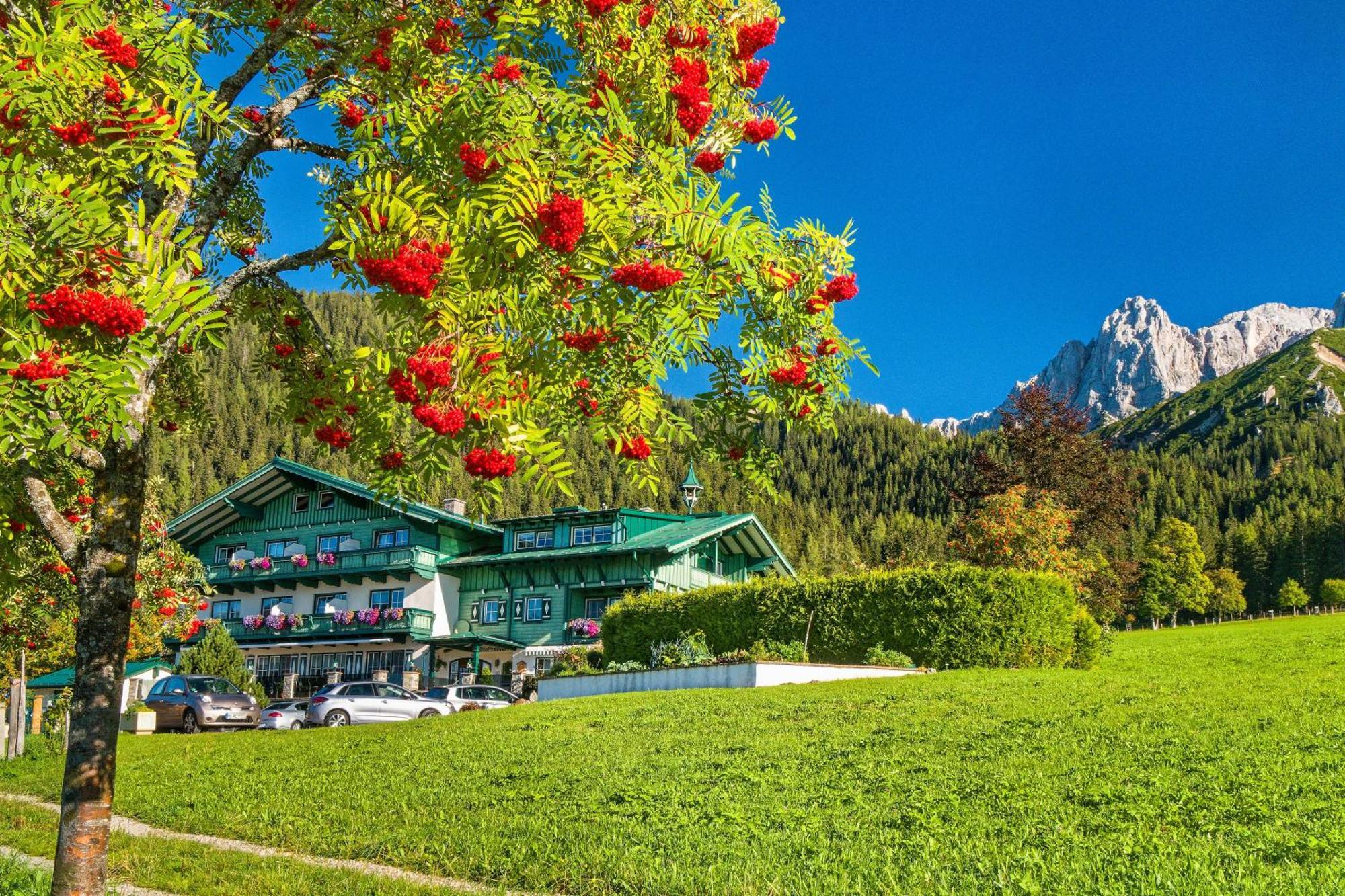 Pension Stoffenbauer Ramsau am Dachstein Bagian luar foto