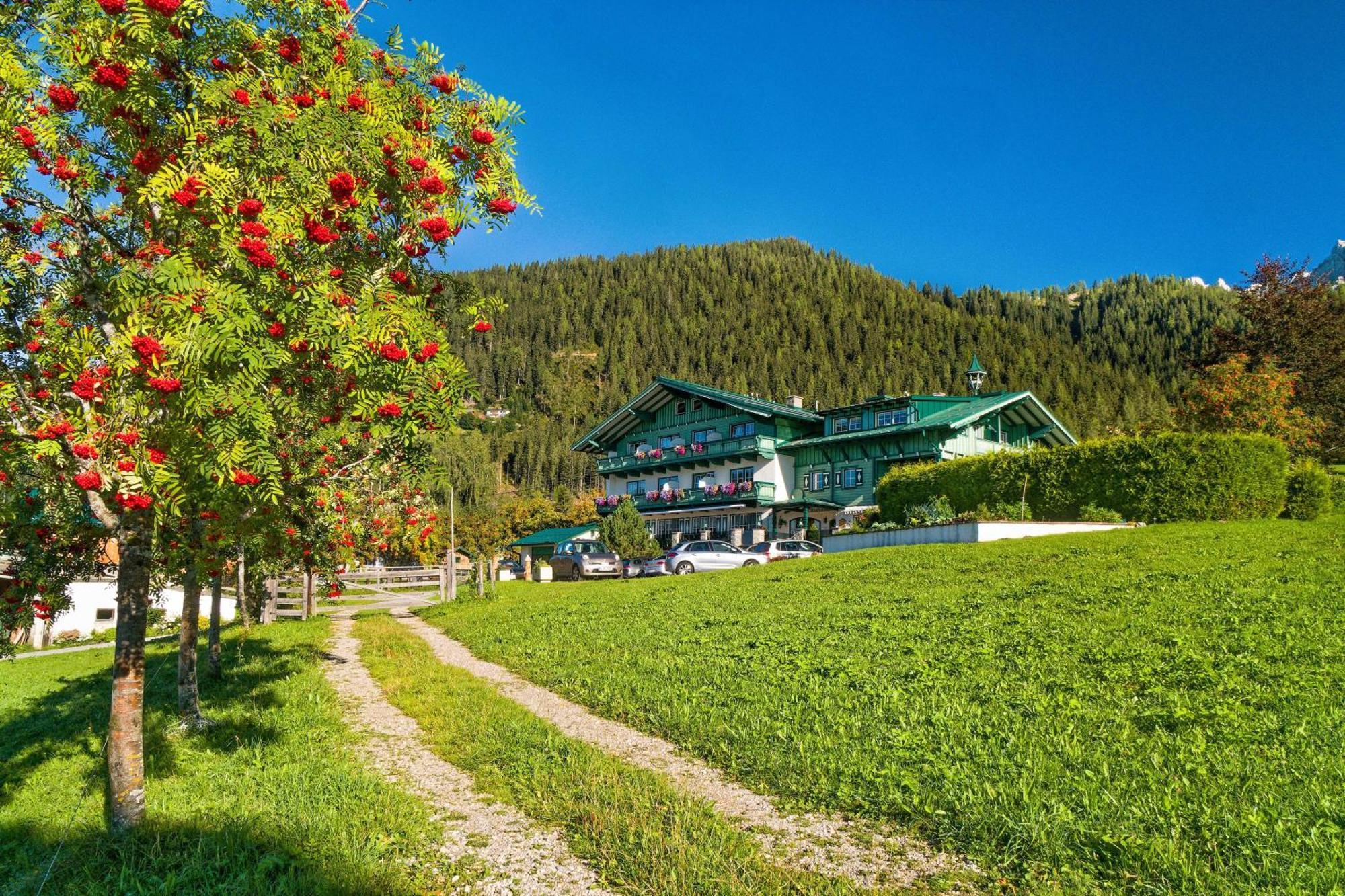 Pension Stoffenbauer Ramsau am Dachstein Bagian luar foto