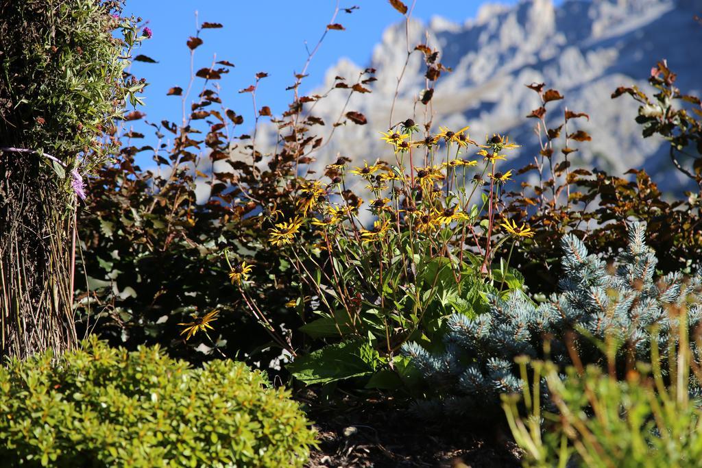 Pension Stoffenbauer Ramsau am Dachstein Bagian luar foto